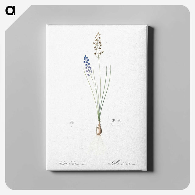 2-71_The-Lilies_canvas