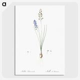 2-71_The-Lilies_picture-crop