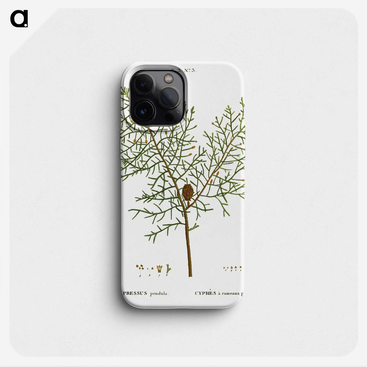 2-71_Treatise-on-Trees-and-Shrubs_phone