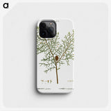 2-71_Treatise-on-Trees-and-Shrubs_phone