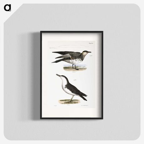 2-71_Zoology-of-New-York_blk