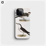 Richardson's Hawk Gull (Lestris richardsoni) 294. Little Shearwater (Puffinus cinereus) illustration from Zoology of New York by - ニューヨークの動物学 Phone Case.