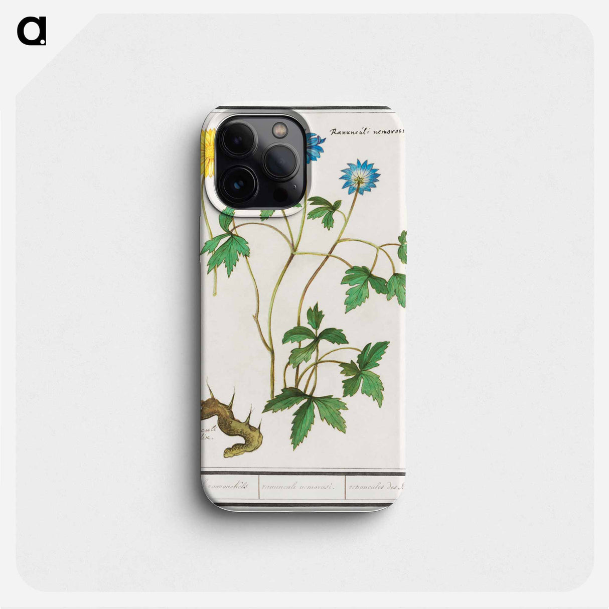 Wood anemone - アンセルムス ボエティウス デ ブート Phone Case.