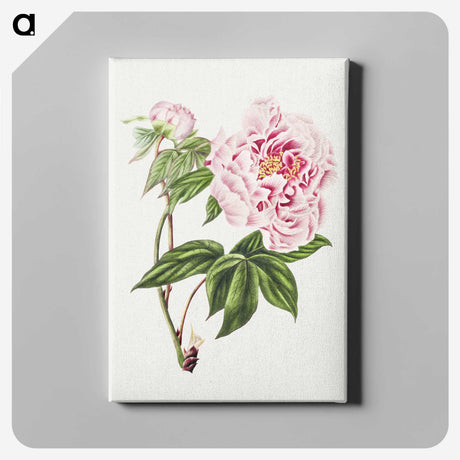 2-72_Cleveland-Museum-of-Art_canvas