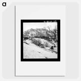 Consumers, near Price, Utah. Company housing in coal town. - Dorothea Lange Poster.