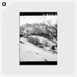2-72_Dorothea-Lange_postcard