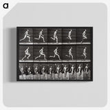 2-72_Eadweard-Muybridge_blk-crop