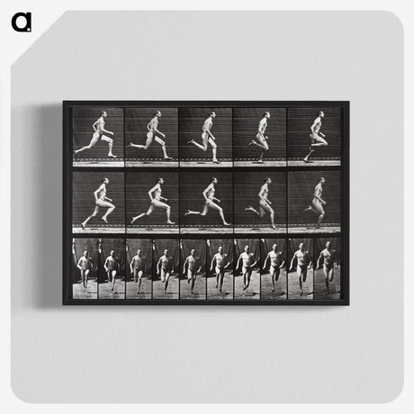 2-72_Eadweard-Muybridge_blk-crop
