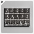 2-72_Eadweard-Muybridge_canvas
