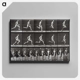 2-72_Eadweard-Muybridge_canvas