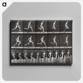 2-72_Eadweard-Muybridge_canvas