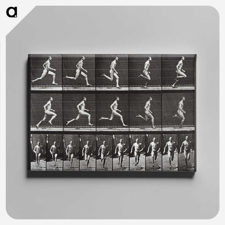 2-72_Eadweard-Muybridge_canvas