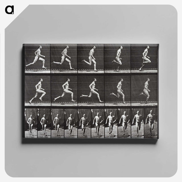 2-72_Eadweard-Muybridge_canvas