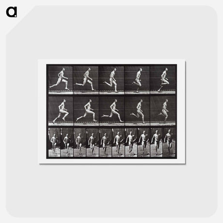 アートポストカード-Animal Locomotion Plate 60
 - エドワード マイブリッジ Postcard.