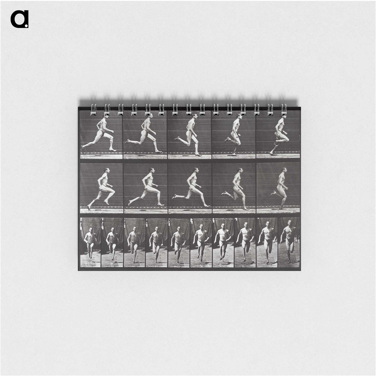 2-72_Eadweard-Muybridge_memo