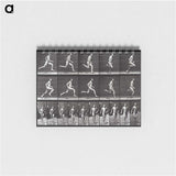 2-72_Eadweard-Muybridge_memo