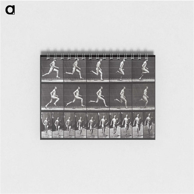 2-72_Eadweard-Muybridge_memo