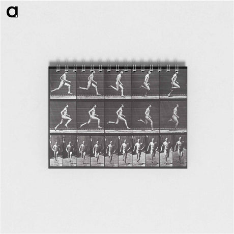 アートメモ帳-Animal Locomotion Plate 60
 - エドワード マイブリッジ Memo.