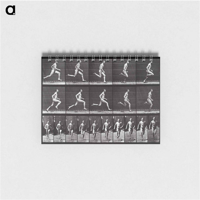 アートメモ帳-Animal Locomotion Plate 60
 - エドワード マイブリッジ Memo.