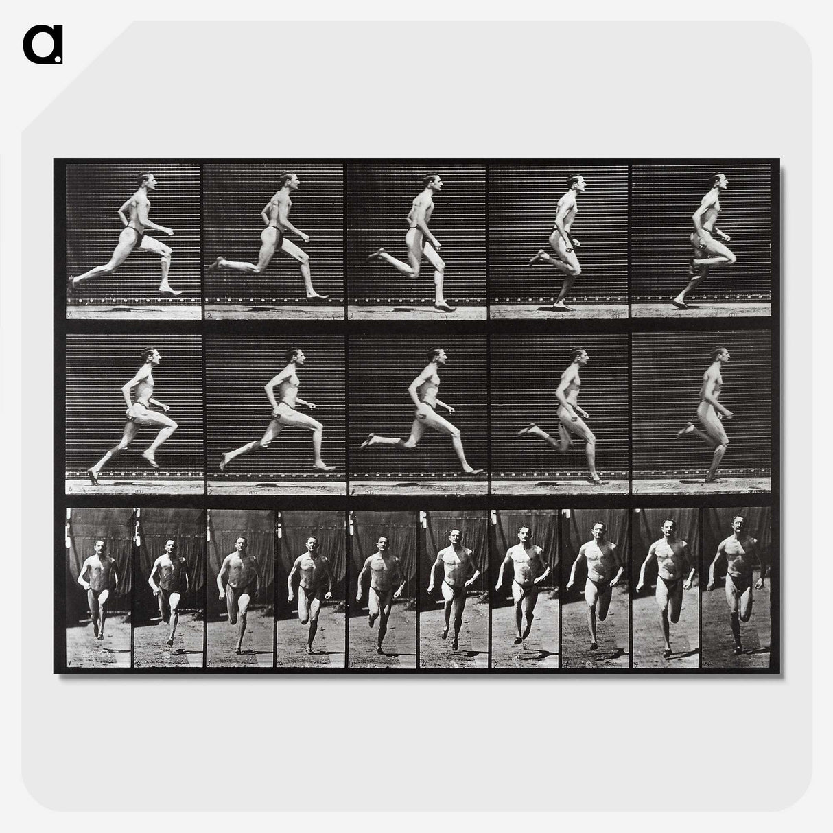 2-72_Eadweard-Muybridge_picture-crop