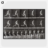 2-72_Eadweard-Muybridge_picture-crop