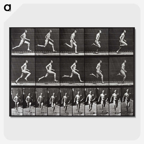 2-72_Eadweard-Muybridge_picture-crop