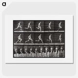 2-72_Eadweard-Muybridge_picture