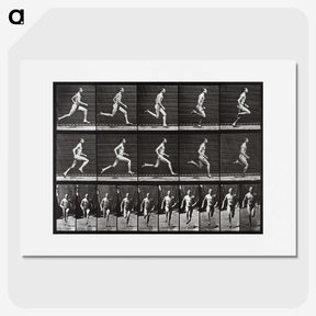 2-72_Eadweard-Muybridge_picture