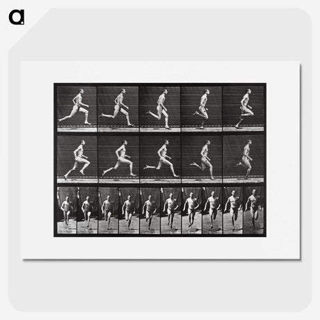 2-72_Eadweard-Muybridge_picture