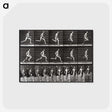 2-72_Eadweard-Muybridge_postcard