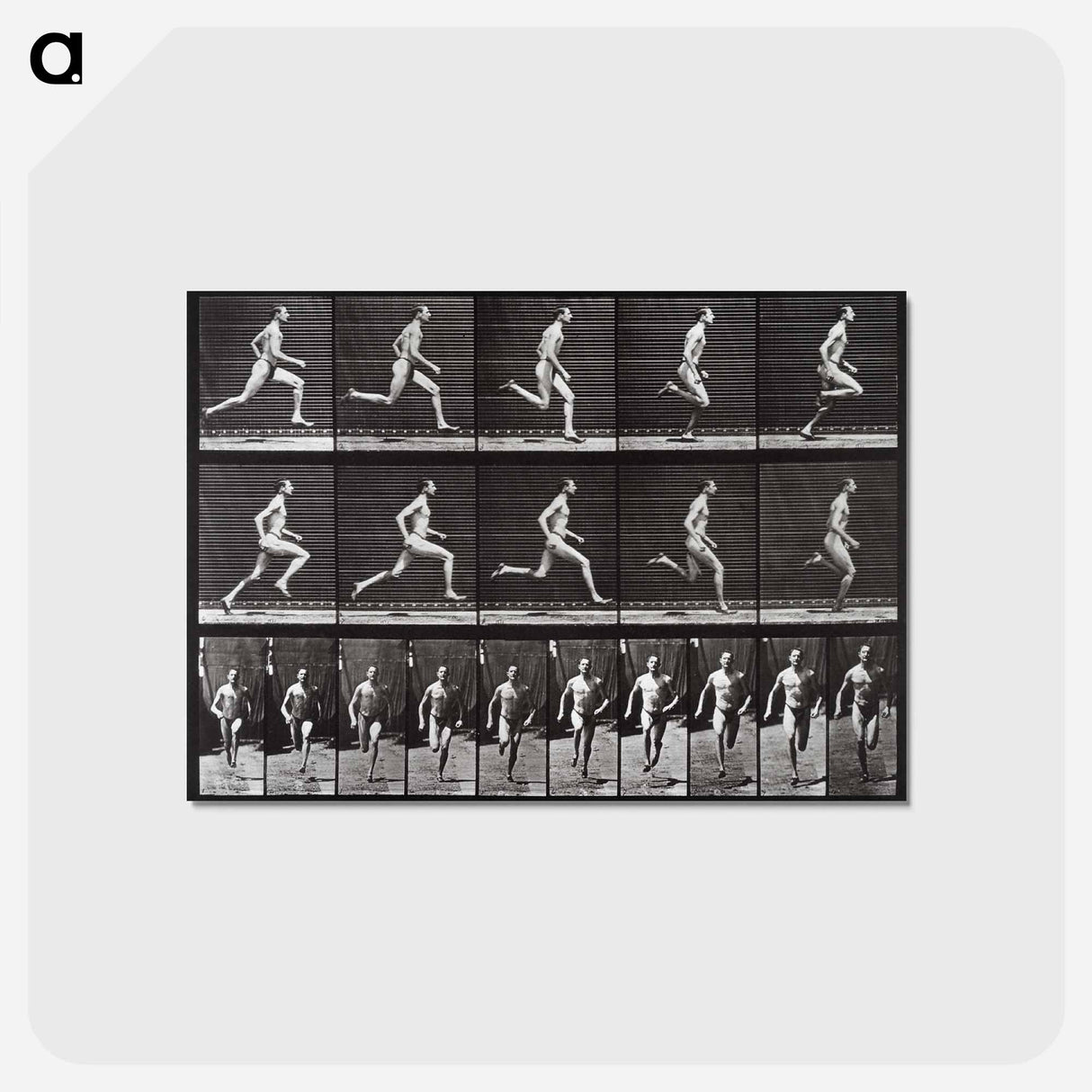 アートポストカード-Animal Locomotion Plate 60
 - エドワード マイブリッジ Postcard.