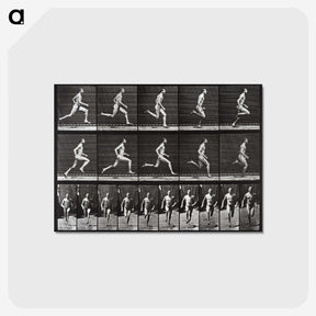 2-72_Eadweard-Muybridge_postcard