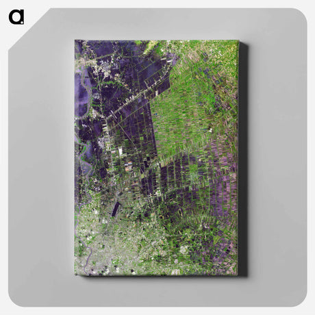 アートパネル-Chao Phraya River Flood
 - 上空からの地球 Canvas.