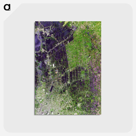 アートポストカード-Chao Phraya River Flood
 - 上空からの地球 Postcard.