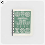 2-72_Ernst-Haeckel_memo