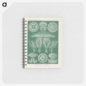 2-72_Ernst-Haeckel_memo