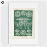 2-72_Ernst-Haeckel_picture