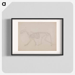 アートポスター-Tiger Skeleton, Lateral View
 - ジョージ スタッブス Poster.