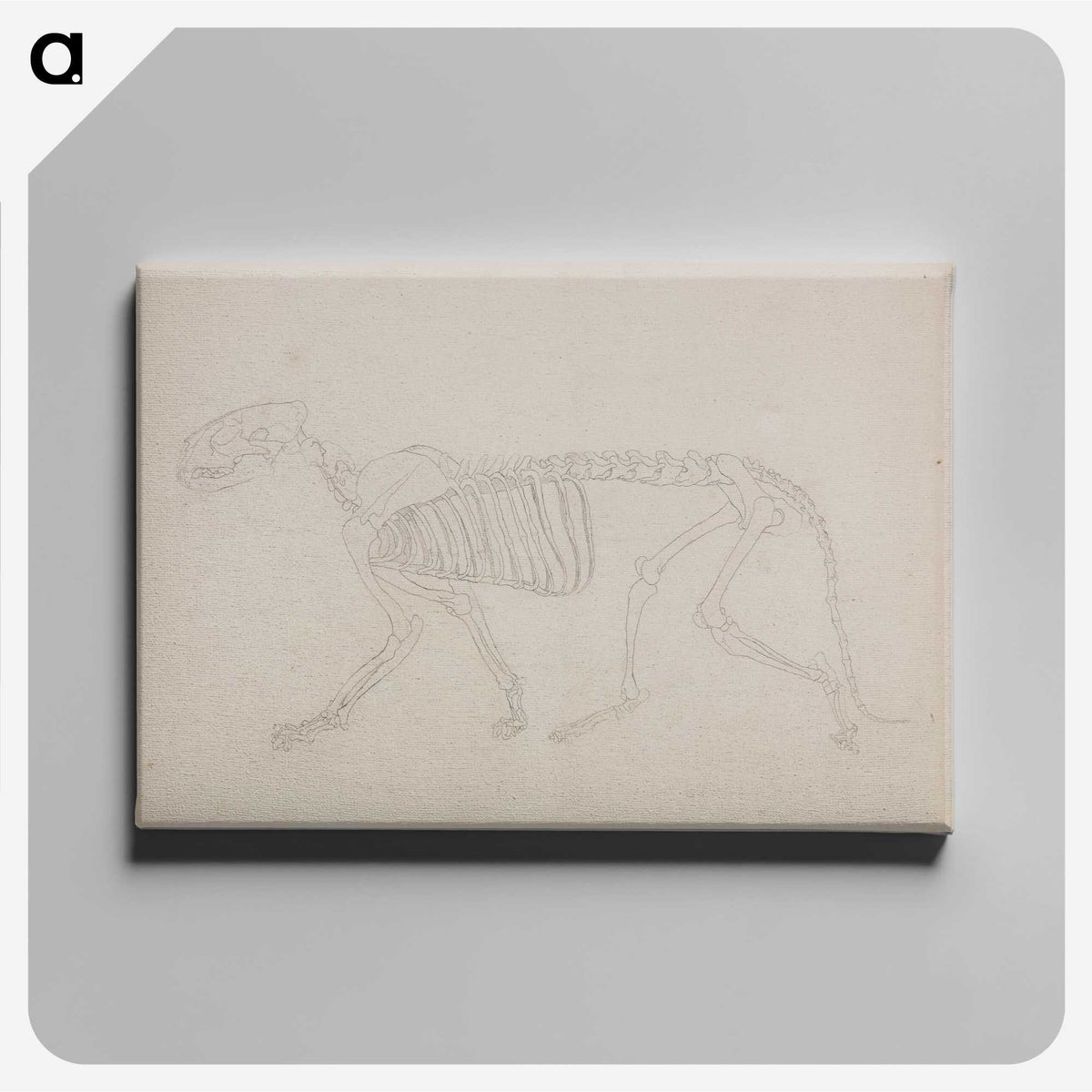 2-72_George-Stubbs_canvas