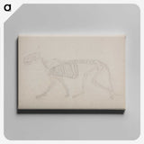 2-72_George-Stubbs_canvas