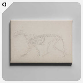 2-72_George-Stubbs_canvas
