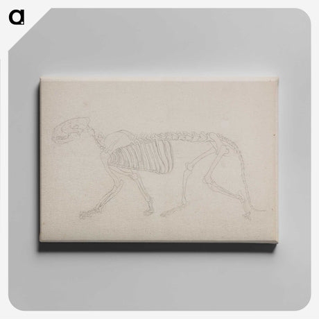 2-72_George-Stubbs_canvas