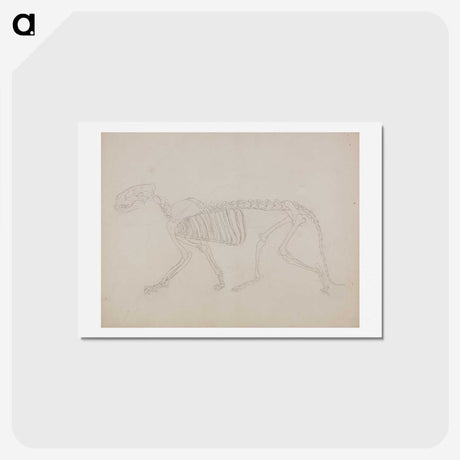 2-72_George-Stubbs_hagaki