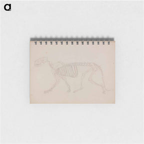 アートメモ帳-Tiger Skeleton, Lateral View
 - ジョージ スタッブス Memo.