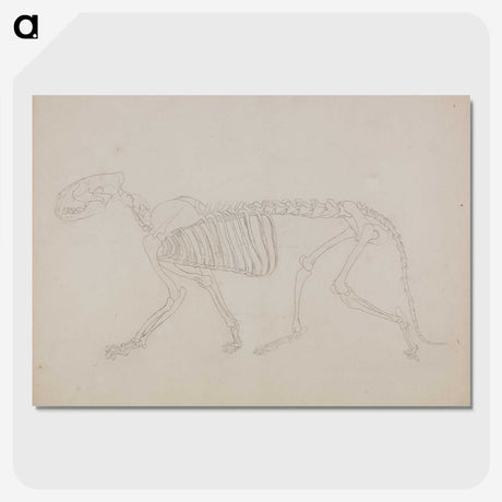 2-72_George-Stubbs_picture-crop