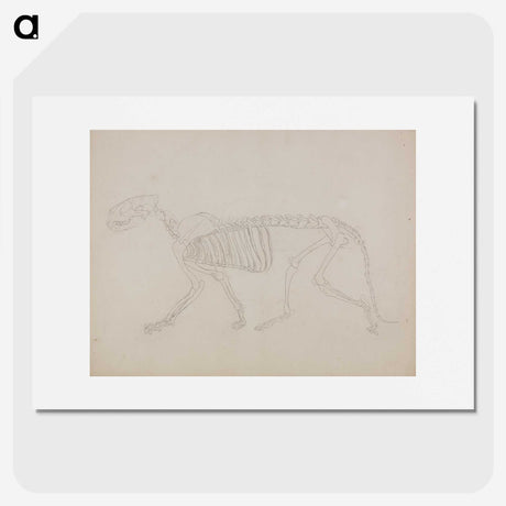 2-72_George-Stubbs_picture
