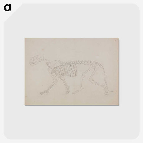 2-72_George-Stubbs_postcard