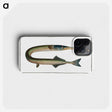 2-72_Ichtyologie-ou-Histoire-naturelle_phone