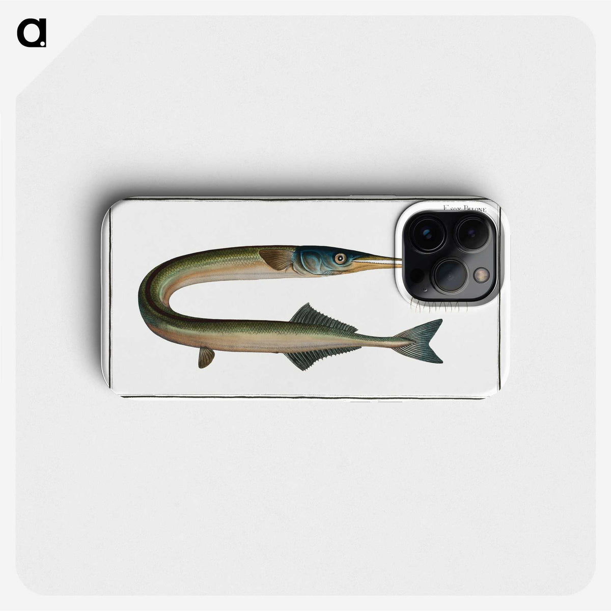 2-72_Ichtyologie-ou-Histoire-naturelle_phone