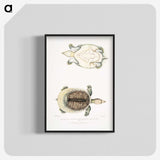 2-72_Indian-Zoology_blk-crop